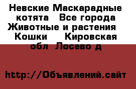 Невские Маскарадные котята - Все города Животные и растения » Кошки   . Кировская обл.,Лосево д.